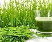 Pelletier y J. Caventou