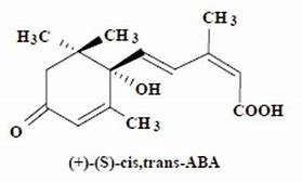 Adicot y colaboradores