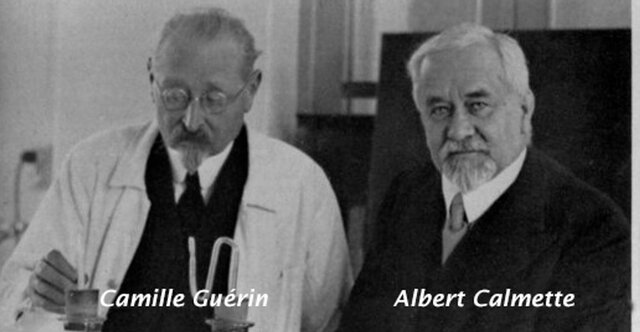 Vacuna contra Tuberculosis