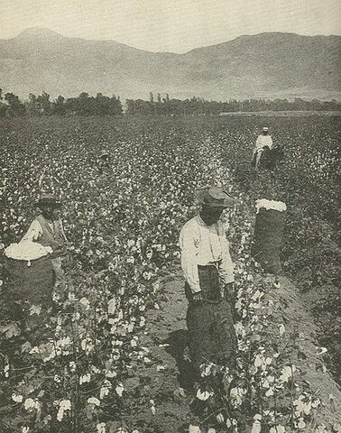 Transformación de tierras de Malí para producción de algodoneras y Tanganika para producción de cacahuates.