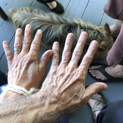 Timeline: CW SPED Timeline