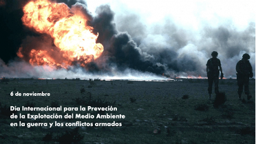 La guerra y medio ambiente