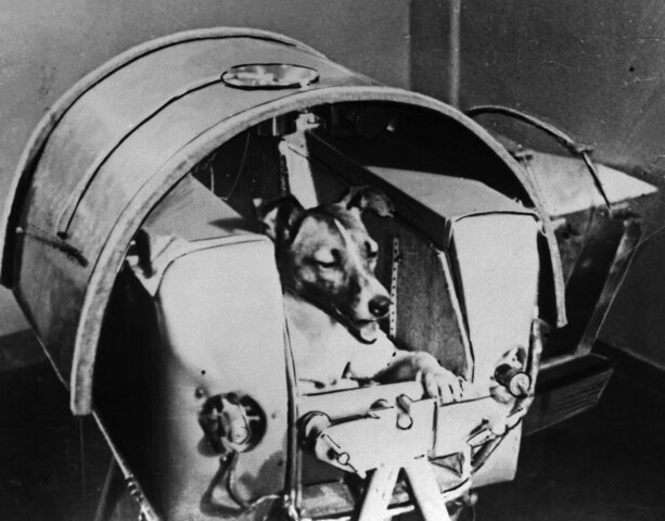 First animal in space by USSR- Dog Laika
