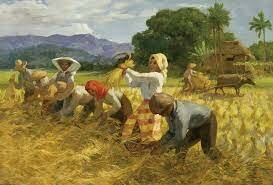 Agrarian law