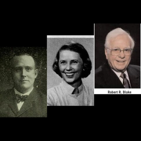 TEORÍA DEL DESARROLLO ORGANIZACIONAL.