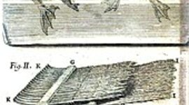 Timeline: canard de vaucanson