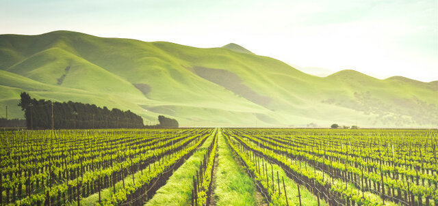 agricultura i ramadaria