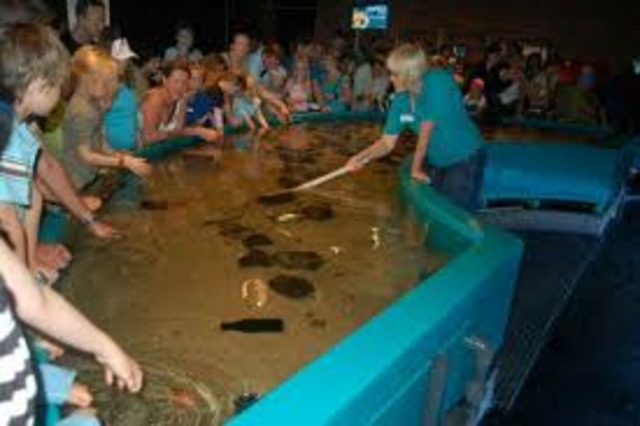 Mi hermanas segundo cumpleanos