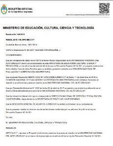 Resolución Ministerial 145/19