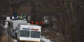 What They Were Doing to Find Brendan