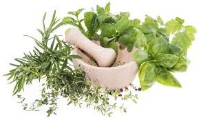 Treatments for sick?