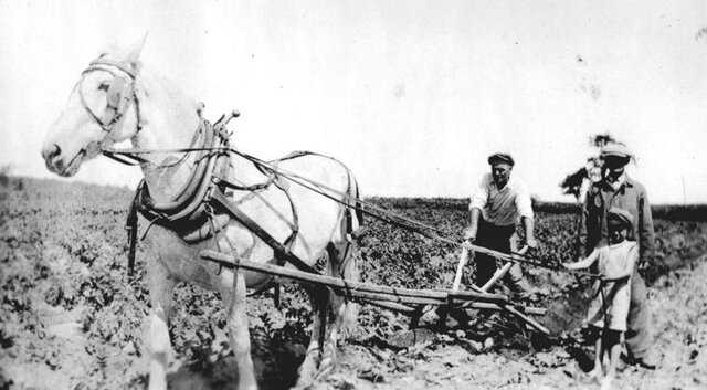 Dekret o odpravi osebne odvisnosti kmetov