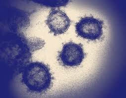 Epidemics (1100 AD)