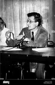 La Generativa transformacional