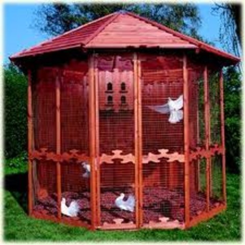 Screencast and Aviary