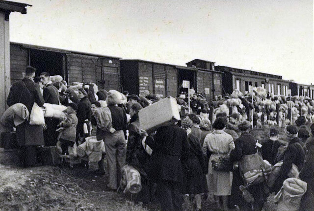 Déportation des juifs vers Auschwitz