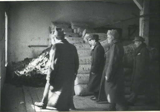 Évacuation des détenus du camps d’Auschwitz