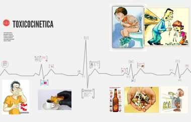 Toxicocinética