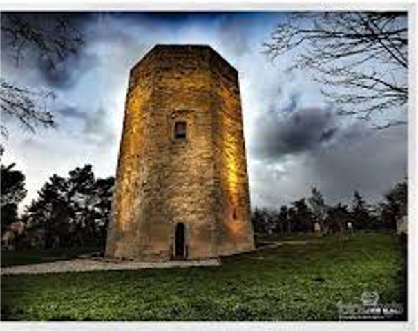Costruisce la Torre di Federico