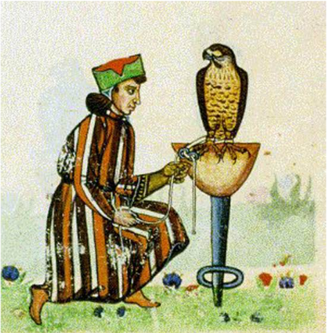 Nascita della Settimana Federiciana