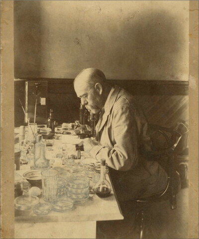 Robert Koch