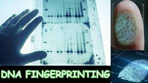 DNA Finger Printing