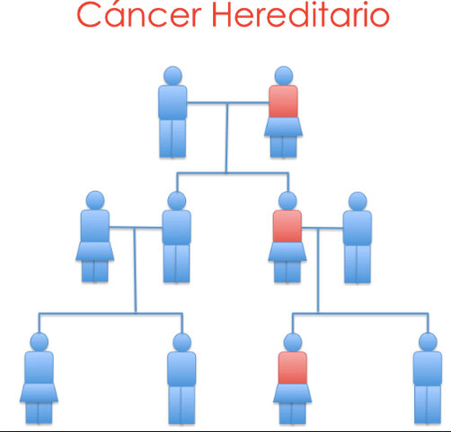 1980-1990