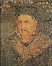 Gabriele Fallopious