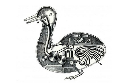 El pato con aparato digestivo.