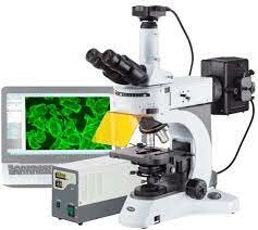 Microscopio Flourescente