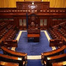 Irish Senate