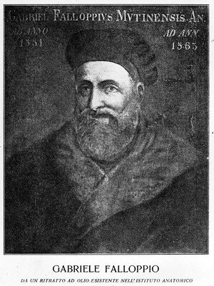 Gabriele Fallopius