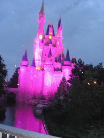 Went to Disney World