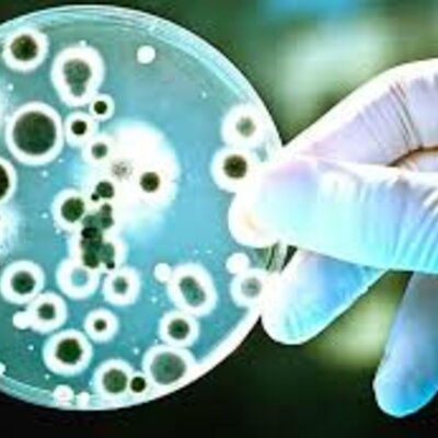 Timeline: Descubrimientos de la microbiología