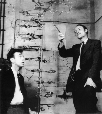 Francis Crick and James Watson