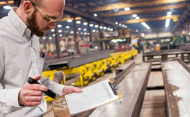 Figura del Inspector