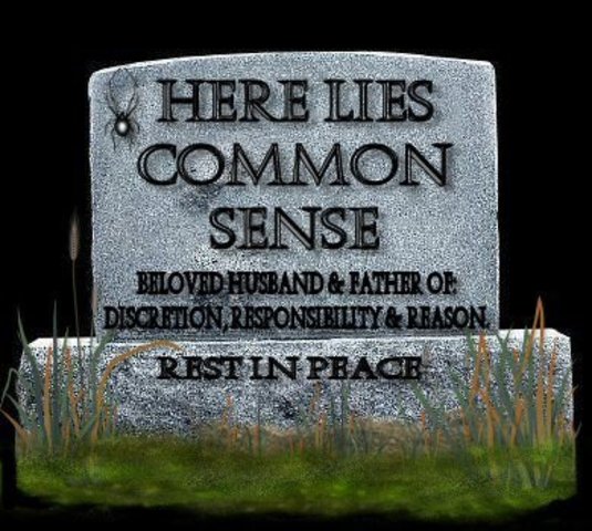 Common Sense