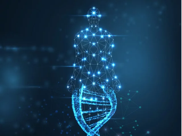 Es publica la seqüència completa del genoma humà