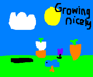 What we will do this lesson: