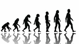 Timeline: La evolución y el origen de la vida