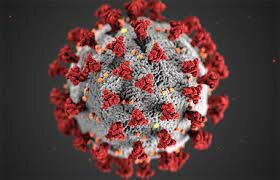 How did they treat disease?