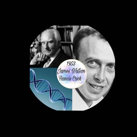 Watson y Crick Doble hélice del ADN
