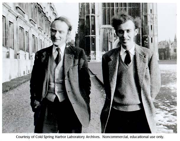 Francis Crick and James Watson