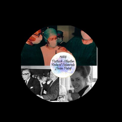 Steptoe, Edwards y Purd Fertilización in Vitro