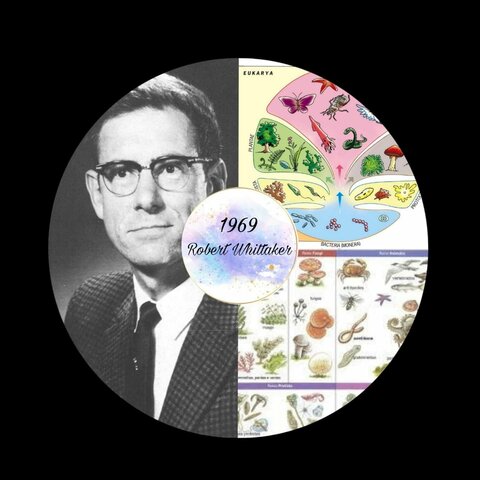 Whittaker Propuesta cinco reinos