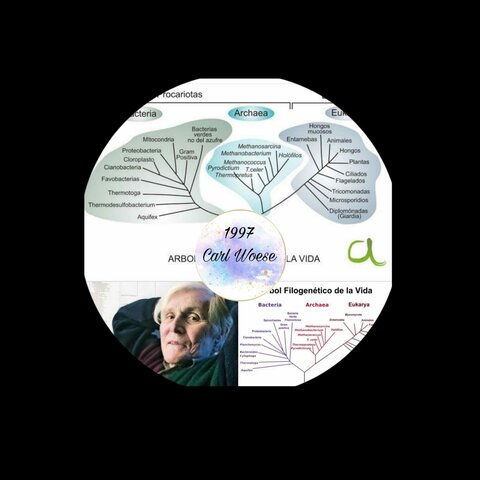 Woese Clasificación organismos vivos