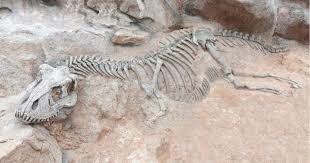 La primera gran extinciñon