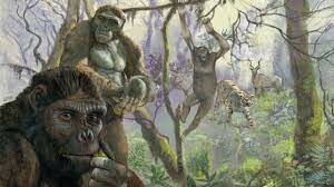 Evolución primer bípido (Ardipithecus ranidus)