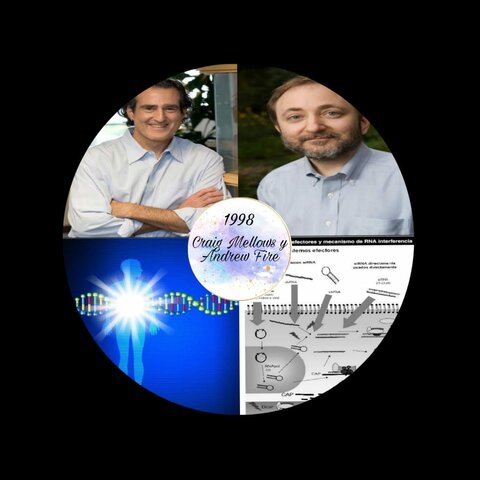 Mellows y Fire Genes C. elegans