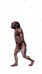Evolución (Autralopithecus)